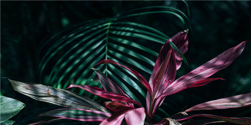 70年属什么生肖什么命(70岁老人恋上48岁“小妹”)