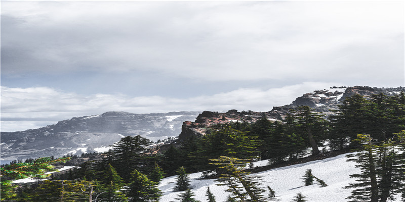 2022年结婚领证吉日抢先选，这些日子需预约