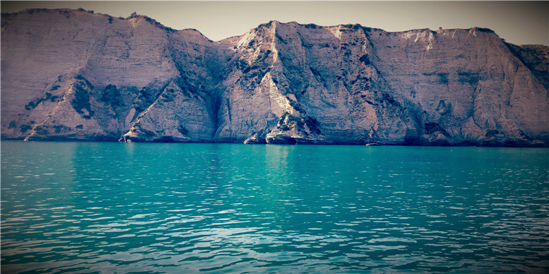 82年属狗的最佳婚配(生肖狗的爱情观以及最佳婚姻匹配)