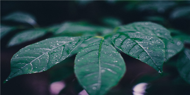 春节最刺激的网红景点，为何美女扎堆，还让3亿人上瘾？