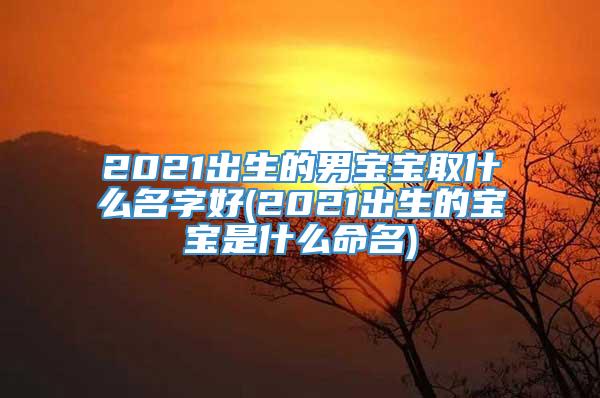 2021出生的男宝宝取什么名字好(2021出生的宝宝是什么命名)