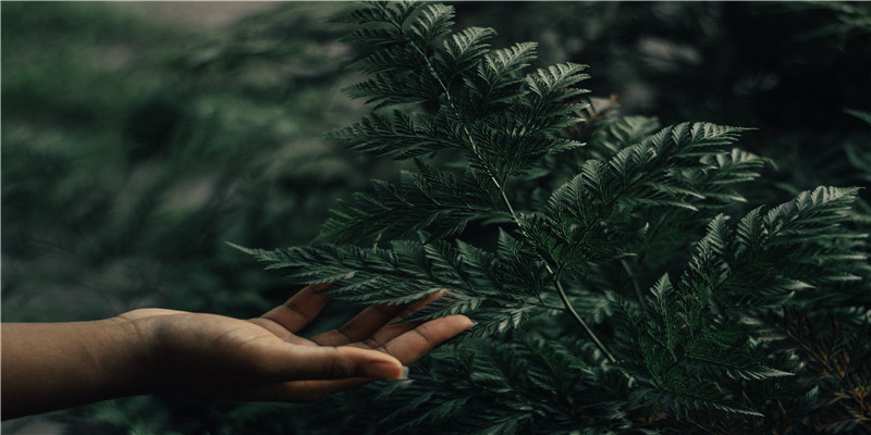 明星用过的网名，你知道几个？最后一个的网名最骚