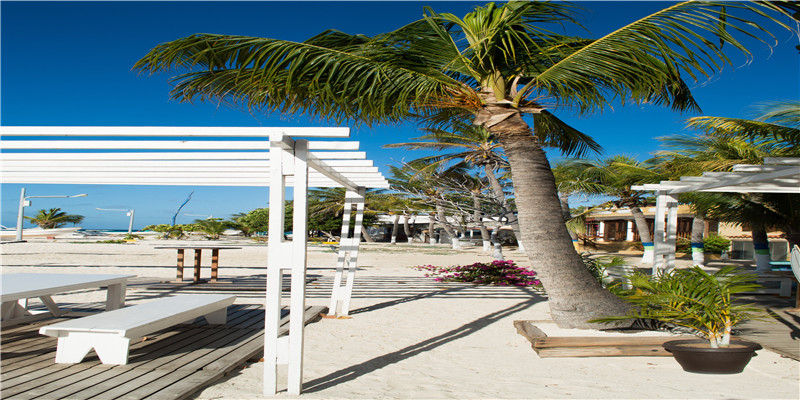 做菜前到底要不要焯水?冷水下锅好还是热水下锅好?