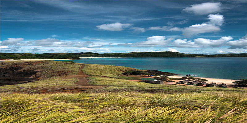 养三只猫是一种怎样的体验？过来人的养猫（劝退）指南