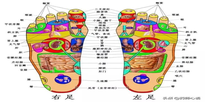 脚上的生命密码，人手一份，建议收藏