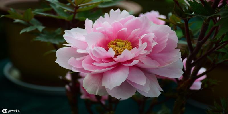 八字命理断事技巧,一看八字就能断准的秘诀,不外传的算命方法