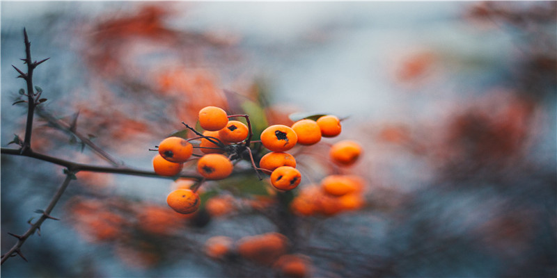 2014年太岁方位及化解(2013犯太岁)