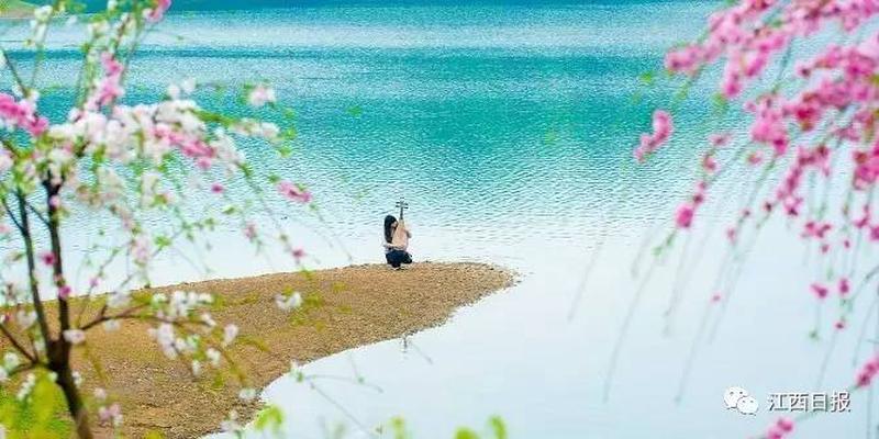 三生三世十里桃花?这里可不止百里!去武宁花源谷感受桃花雨……