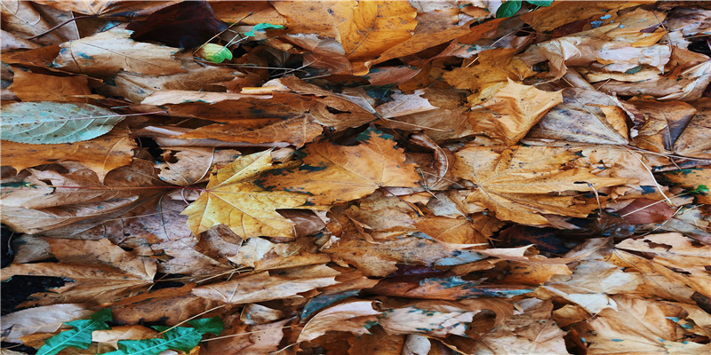 带三点水的名字(女儿三点水名字大全)