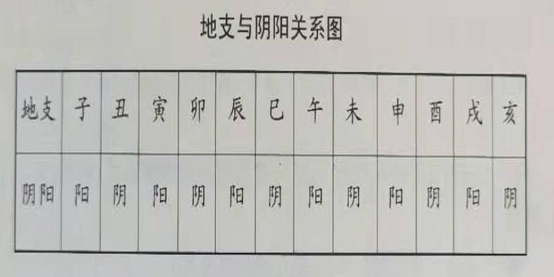 八字中的地支揭示了地气运动的规律，地支中共有十二个元素