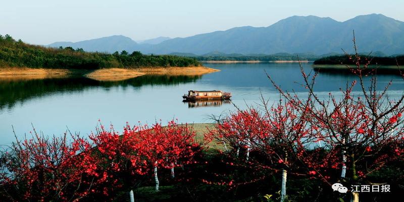 三生三世十里桃花?这里可不止百里!去武宁花源谷感受桃花雨……