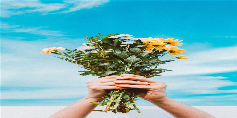 算了一笔植发的账，决定还是秃着吧