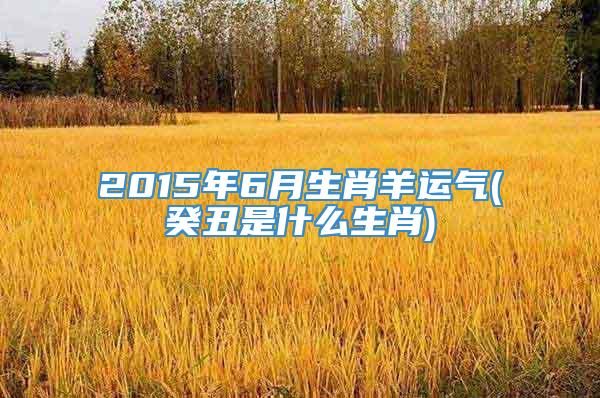 2015年6月生肖羊运气(癸丑是什么生肖)