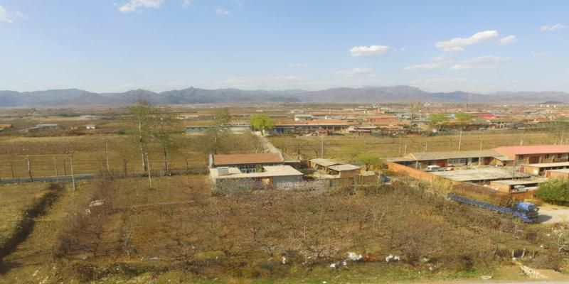 东西丢了可以算卦算出了吗(“王半仙”落网记)