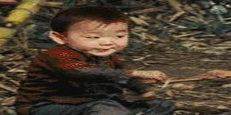 网络算命花式“割韭菜”,占卜10分钟收入60万