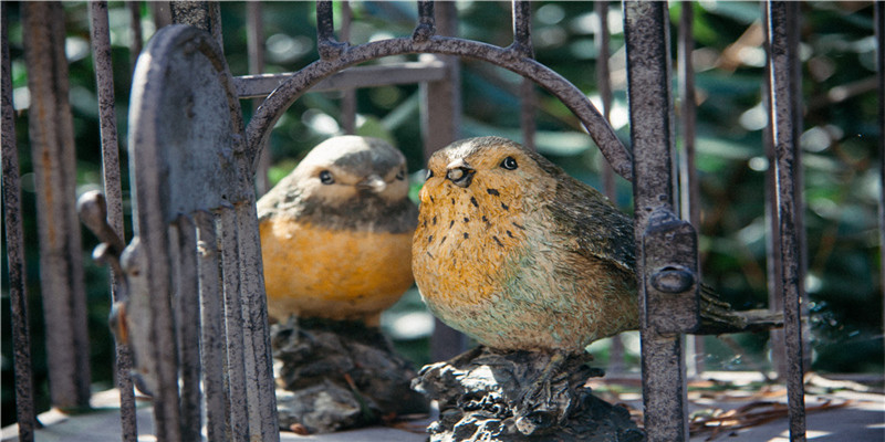 70属狗人的灾难年龄(哪些月份出生的生肖结婚的年龄较晚)