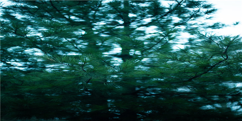 梦到办丧事用的纸扎用品(梦见出殡撒纸钱)