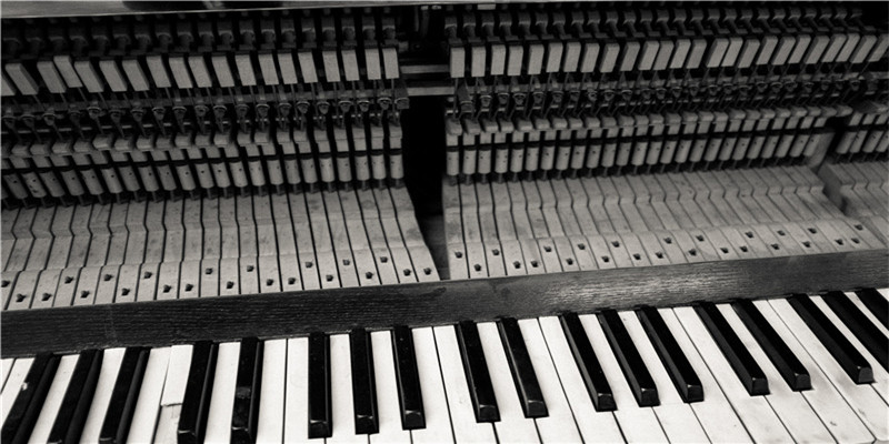 2013年本命年是哪一年(在科考船上做船员)