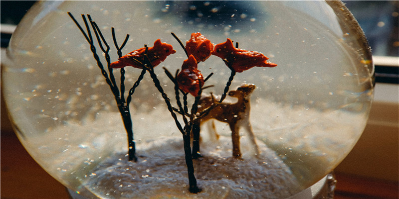 2021年女孩最佳取名免费(起名字2021年)