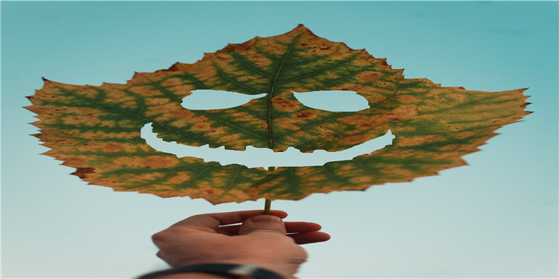 土家幺妹出嫁前要“开脸”“障面”，小伙儿要携六礼“亲迎”