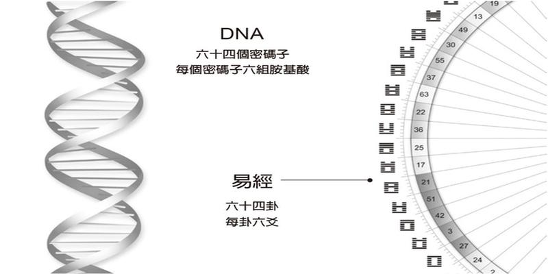 杨振宁谈易经，周易藏了多少秘密？被质疑6500年，终被证实超科学