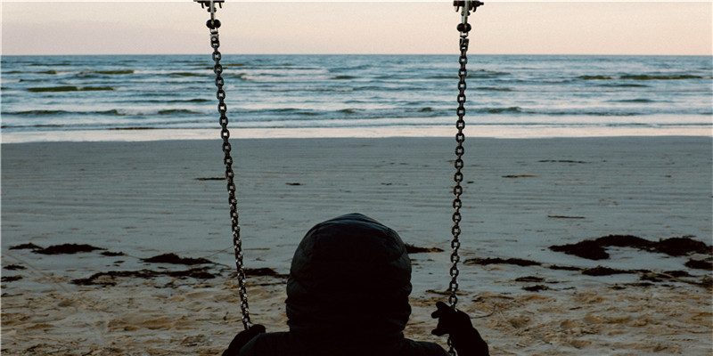 养三只猫是一种怎样的体验？过来人的养猫（劝退）指南