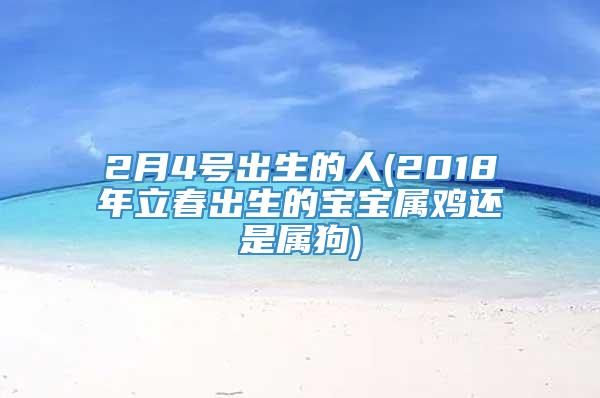 2月4号出生的人(2018年立春出生的宝宝属鸡还是属狗)