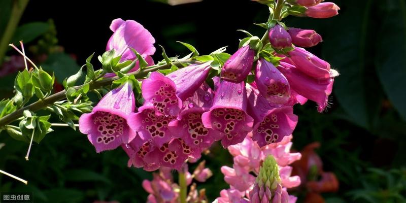 八字命理断事技巧,一看八字就能断准的秘诀,不外传的算命方法