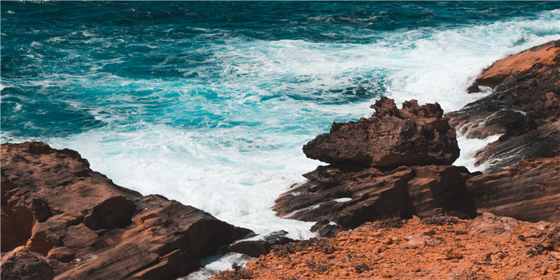 2021新生儿爆款名字(2021爆单)