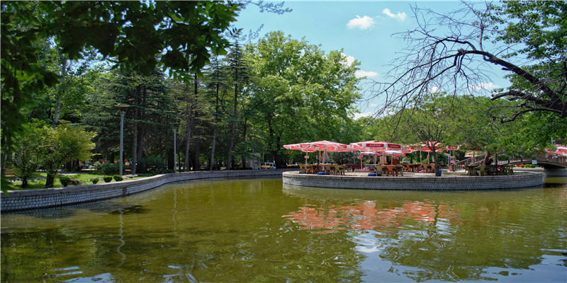 梦到好多人吃饭是什么意思(梦到很多人在吃饭)