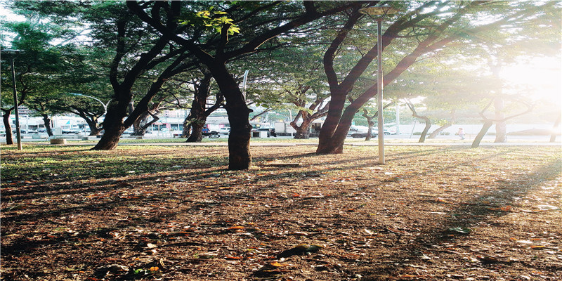 脸上这4个地方长痣,一般都是大美女,非常有辨识度