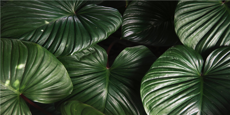 12生肖夫妻婚配表