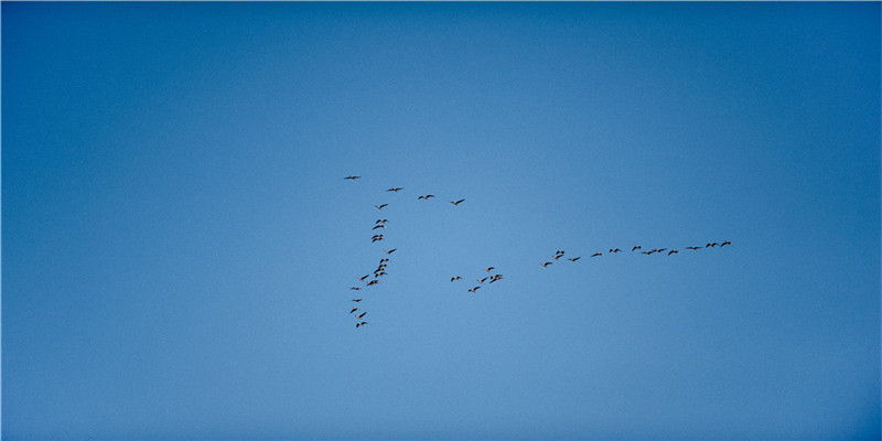 34422香港财神爷三肖(农历2018年上半年)