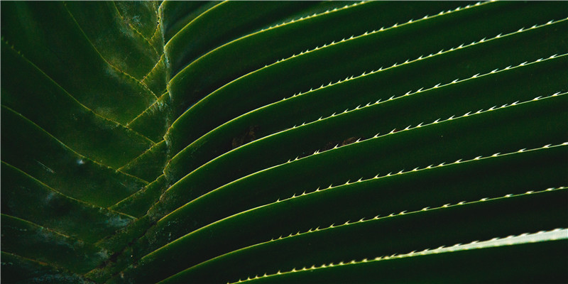 你的姓排第几?公安部发布最新百家姓,最新排序公布!