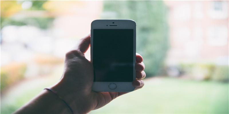 43岁属马人的运程(属马人来年的各方面运势如何)