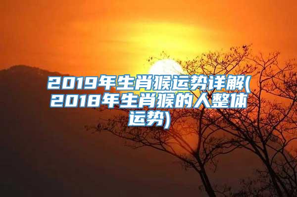 2019年生肖猴运势详解(2018年生肖猴的人整体运势)