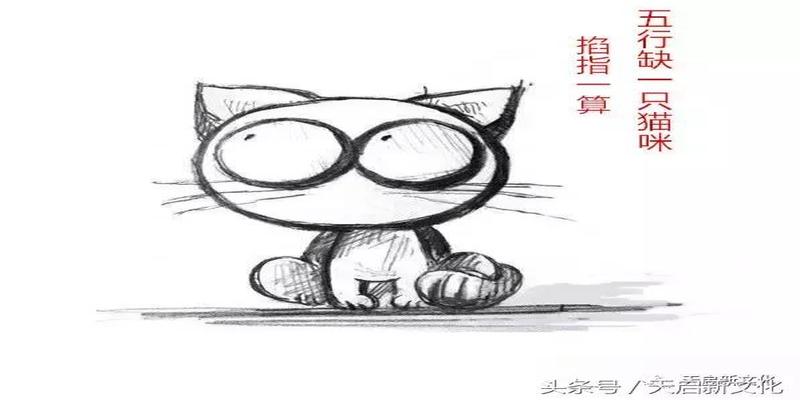 五行缺木的人怎么补?大师说养只兔子或猫就可以!