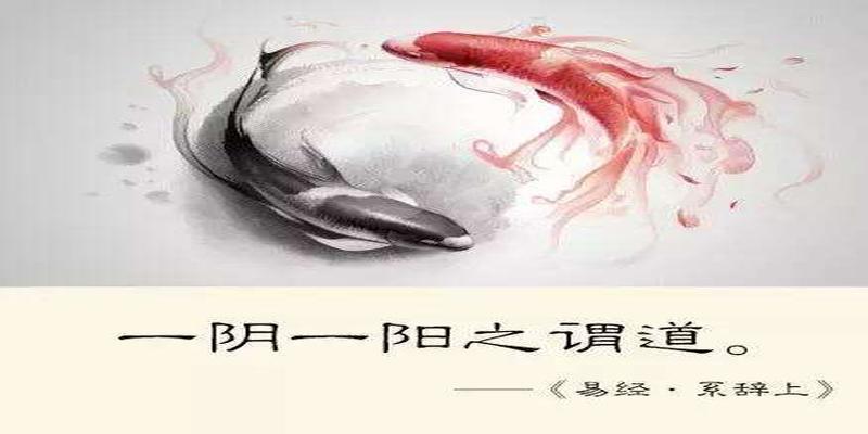 “地水师”是如何诠释中庸之道的？