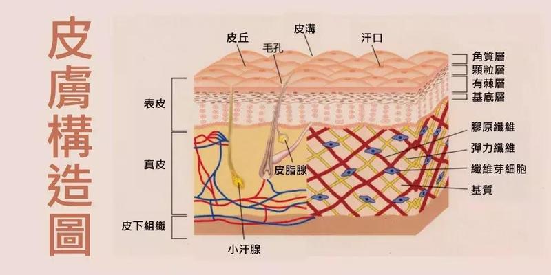 让明星最显老的是哪几条纹？看这篇你就有答案了