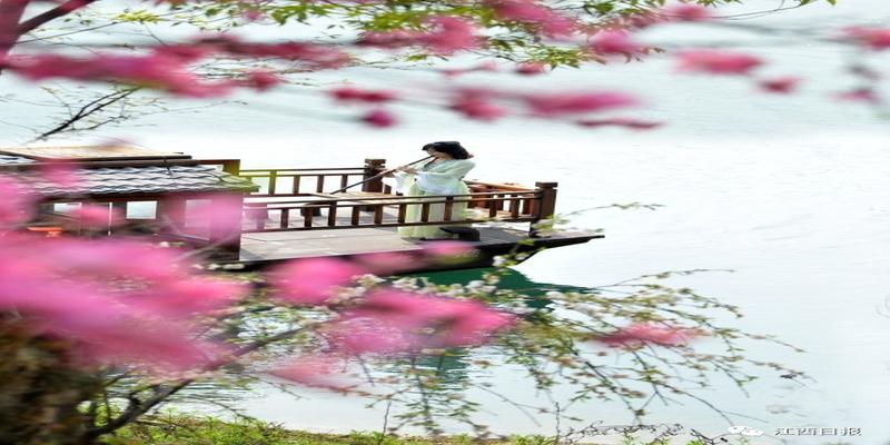 三生三世十里桃花?这里可不止百里!去武宁花源谷感受桃花雨……
