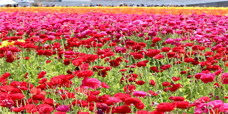 贵圈男星眉毛大赏！三角形这位是我的年度笑点