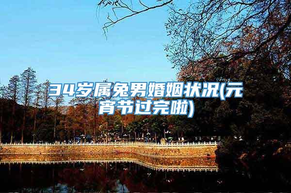 34岁属兔男婚姻状况(元宵节过完啦)