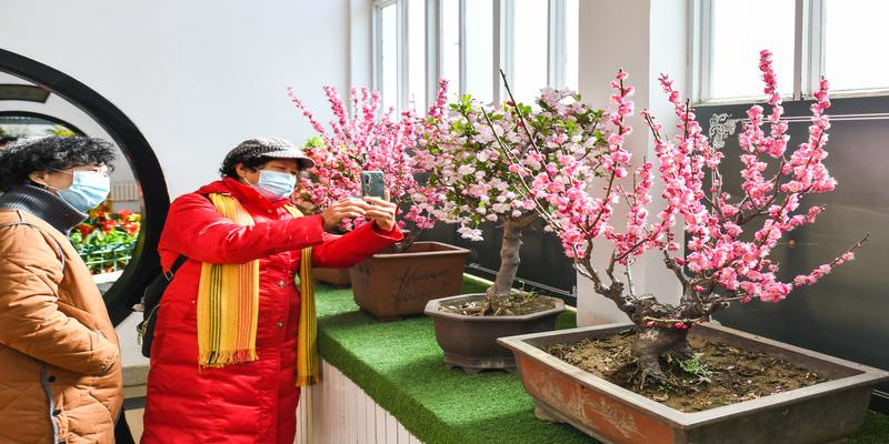 皇家社稷坛变身中山公园的背后,原来有这么多故事