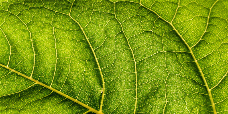 貔貅招财该怎么戴?不同造型,材质的貔貅都大有讲究!