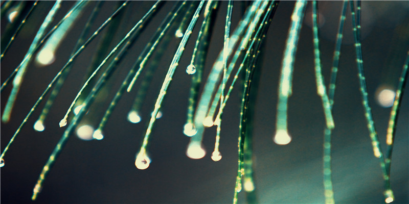 带仙缘的人梦到衣服(周公解梦梦见天上彩霞)