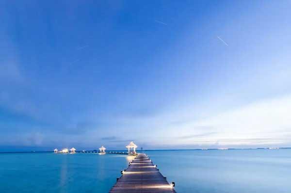 元亨利贞网梅花易数在线排盘(伏羲和彝族的基因同源)