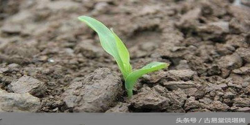 古今精典注解《葬书-乘生气》