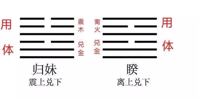 梅花易数的体用是什么意思(周易竟如此简单)