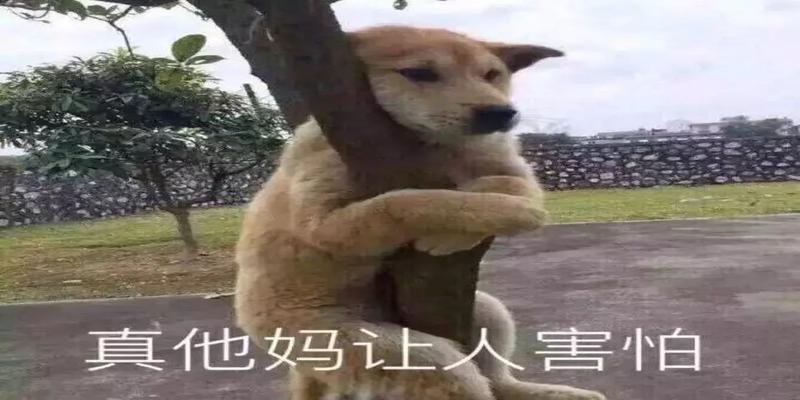 网络算命花式“割韭菜”,占卜10分钟收入60万