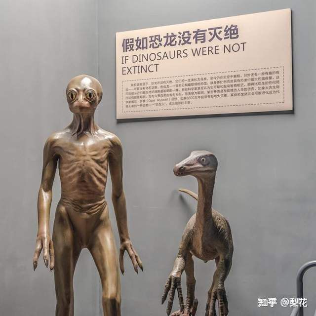 时空中的秘密（易经文化揭秘）